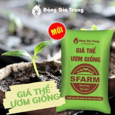 Mua giá thể ươm giống Sfarm ở đâu trên cả nước? | Sfarm