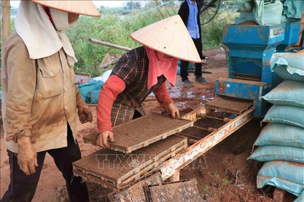 Ap dung may cay vao san xuat lua: Can nhung canh dong lon hinh anh 3