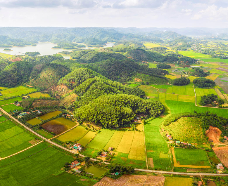 Vẻ đẹp nông thôn Cát Tiên