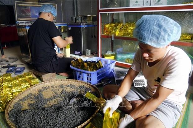 Khẳng định thương hiệu chè đặc sản Shan tuyết Na Hang hình ảnh 2 Khang dinh thuong hieu che dac san Shan tuyet Na Hang hinh anh 2