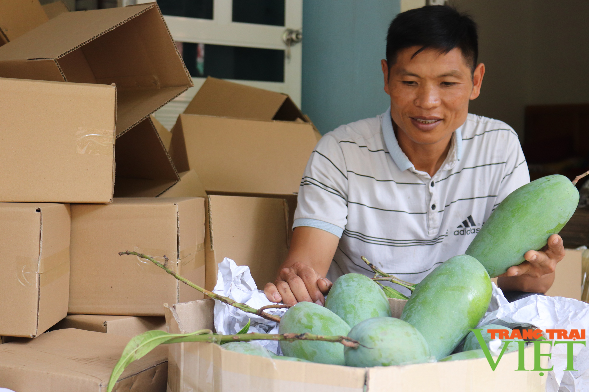 Mường Bú xây dựng nông thôn mới nâng cao  - Ảnh 2.