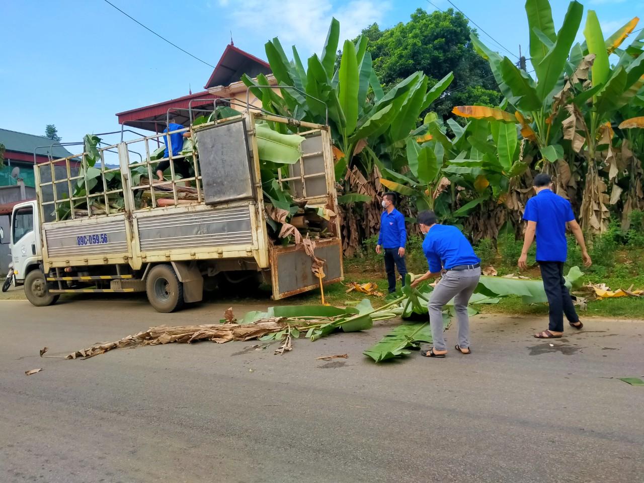 Sơn La: Đang giãn cách xã hội, Phù Yên sản xuất nông nghiệp như thế nào? - Ảnh 2.