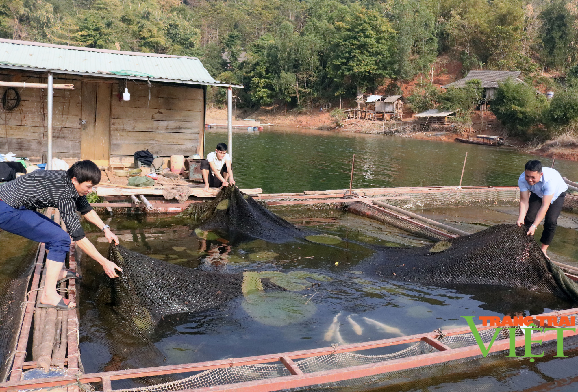 Nuôi cá lồng trên lòng hồ thủy điện Sơn La, người dân bản Ít có thu nhập ổn định  - Ảnh 1.