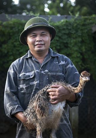 Nuoi da dieu - huong di moi cho hieu qua kinh te cao o Hoa Binh hinh anh 6