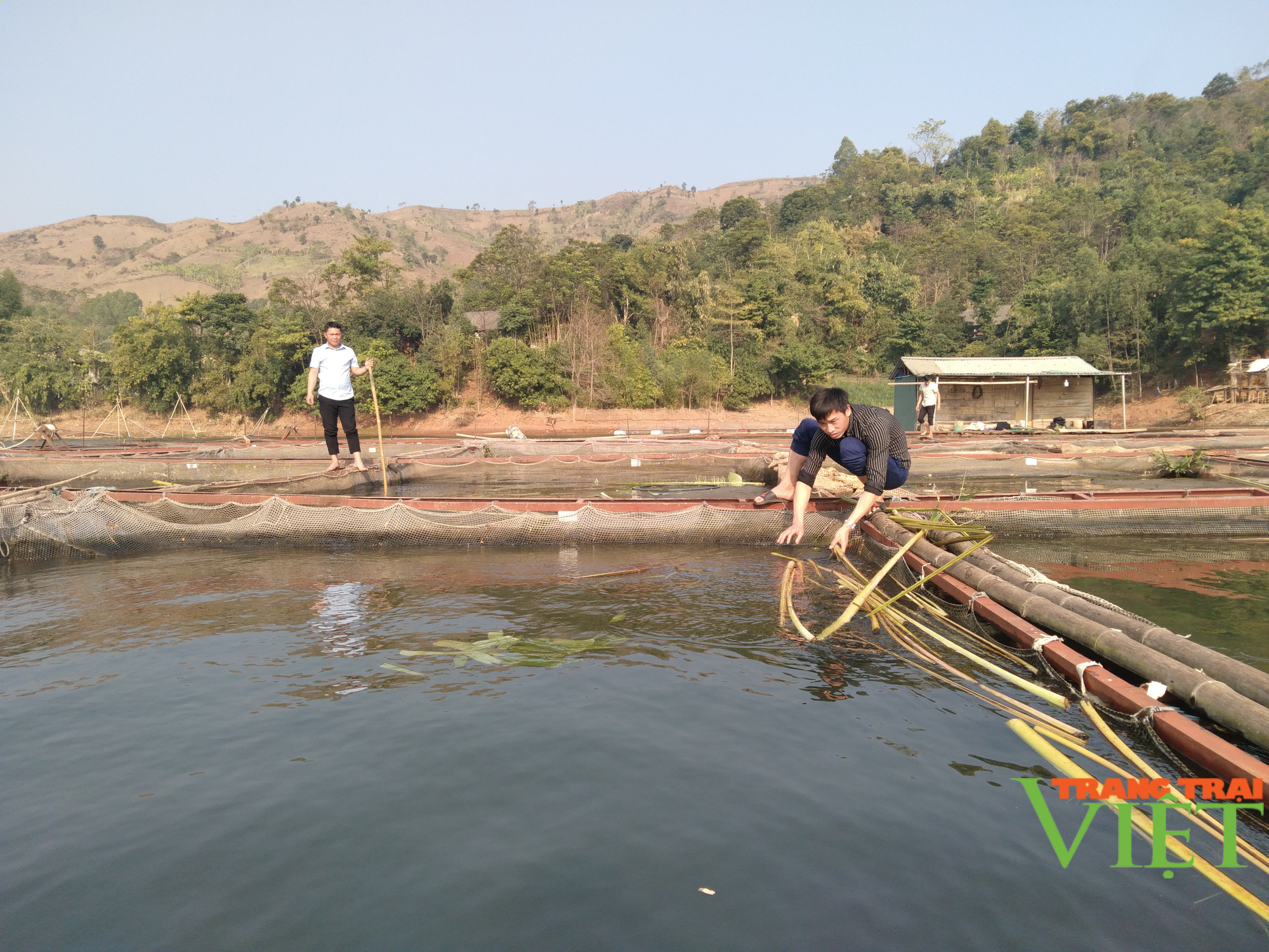 Nuôi cá lồng trên lòng hồ thủy điện Sơn La, người dân bản Ít có thu nhập ổn định  - Ảnh 4.