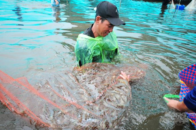 Thị trường thủy sản phía Nam đang "ấm nóng" trở lại - Ảnh 1.