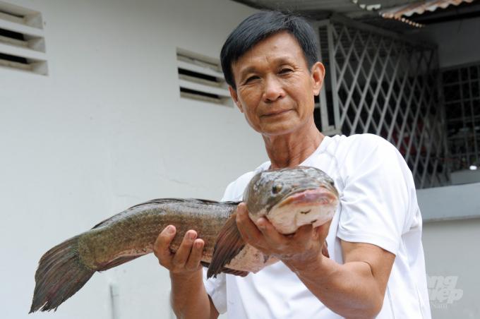 Thị trường thủy sản phía Nam đang "ấm nóng" trở lại - Ảnh 3.