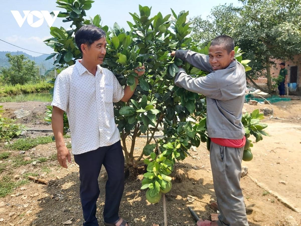 Thanh niên Quảng Nam làm giàu từ vùng đất hoang sơ, cây cối mọc um tùm - Ảnh 3. Thanh niên Quảng Nam làm giàu từ vùng đất hoang sơ, cây cối mọc um tùm - Ảnh 3.