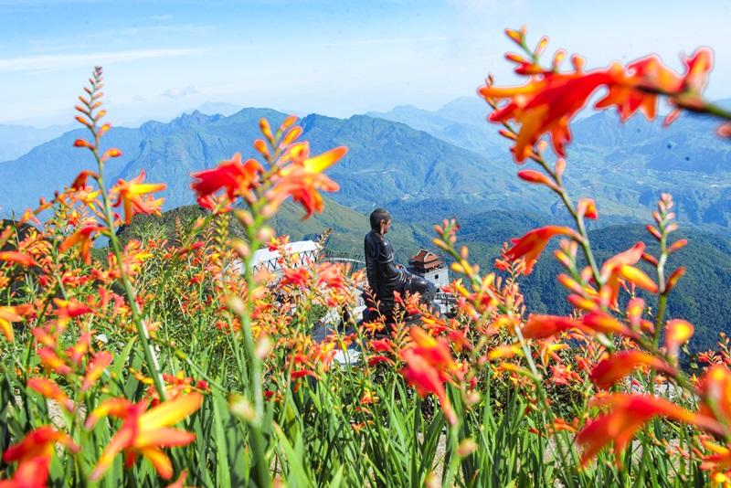 Tháng 9, Sa Pa đẹp nao lòng, ruộng bậc thang chuyển màu kỳ diệu, những triền hoa rực rỡ sắc màu - Ảnh 8.