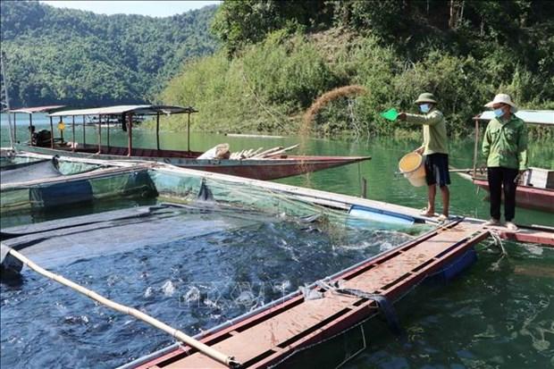 Nguoi nuoi thuy san Lai Chau gap kho dau ra hinh anh 1