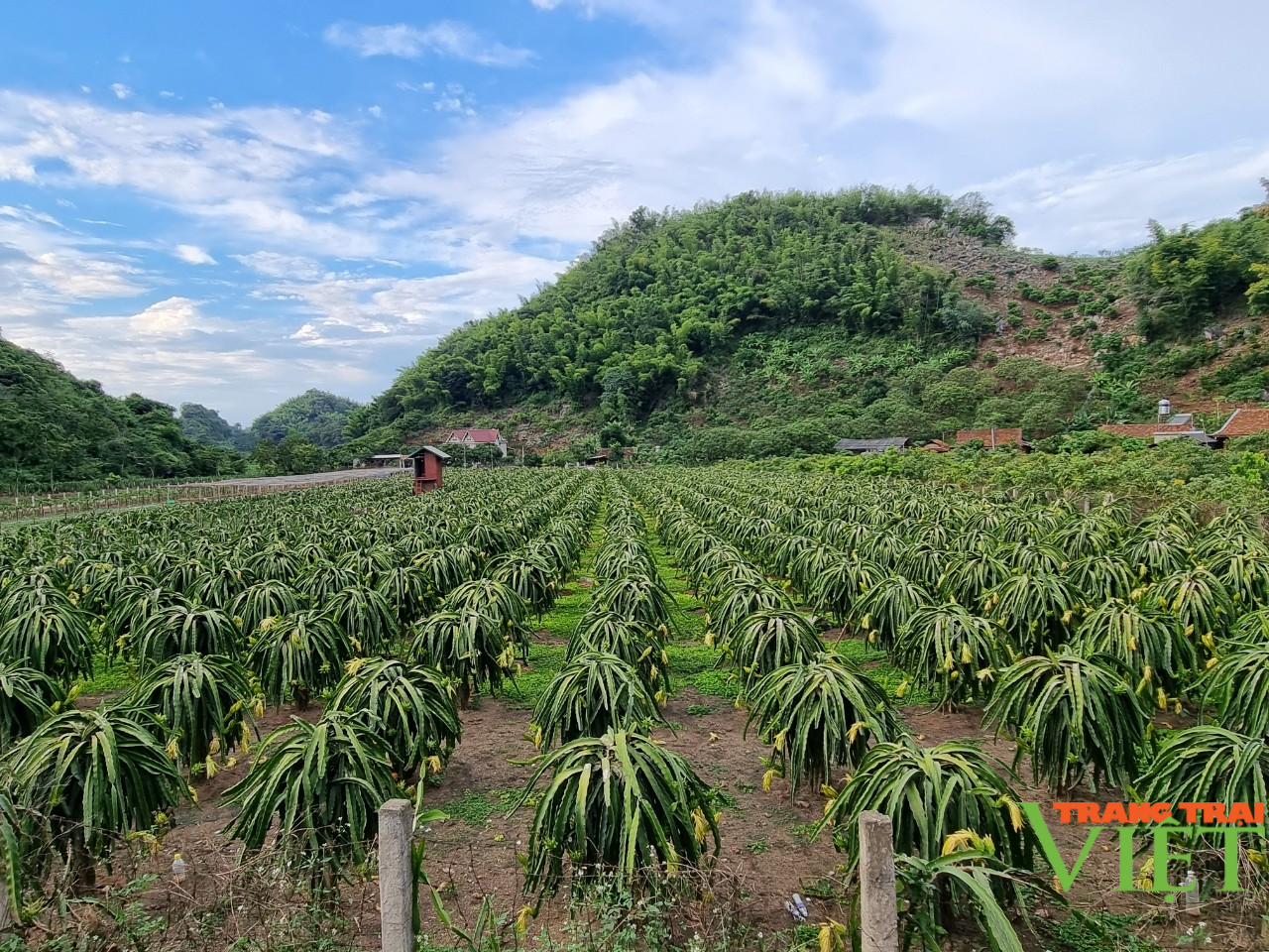 Nông thôn Tây Bắc: Nà Bó nâng cao chất lượng trong thực hiện các tiêu chí Nông thôn mới - Ảnh 2.