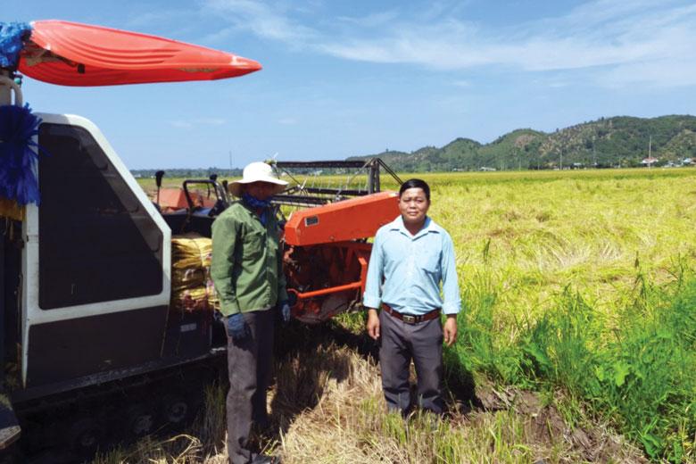 Chuyển đổi đất lúa thông thường sang trồng nếp Quýt chất lượng cao, xã An Nhơn, huyện Đạ Tẻh tăng lợi nhuận lên gấp hơn 3,3 lần