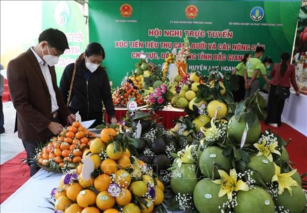 Xuc tien tieu thu nong san chu luc dac trung cua Bac Giang hinh anh 1