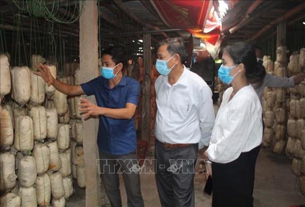 Mo hinh trong nam an toan cho hieu qua kinh te cao cua anh Le Van Thanh hinh anh 3