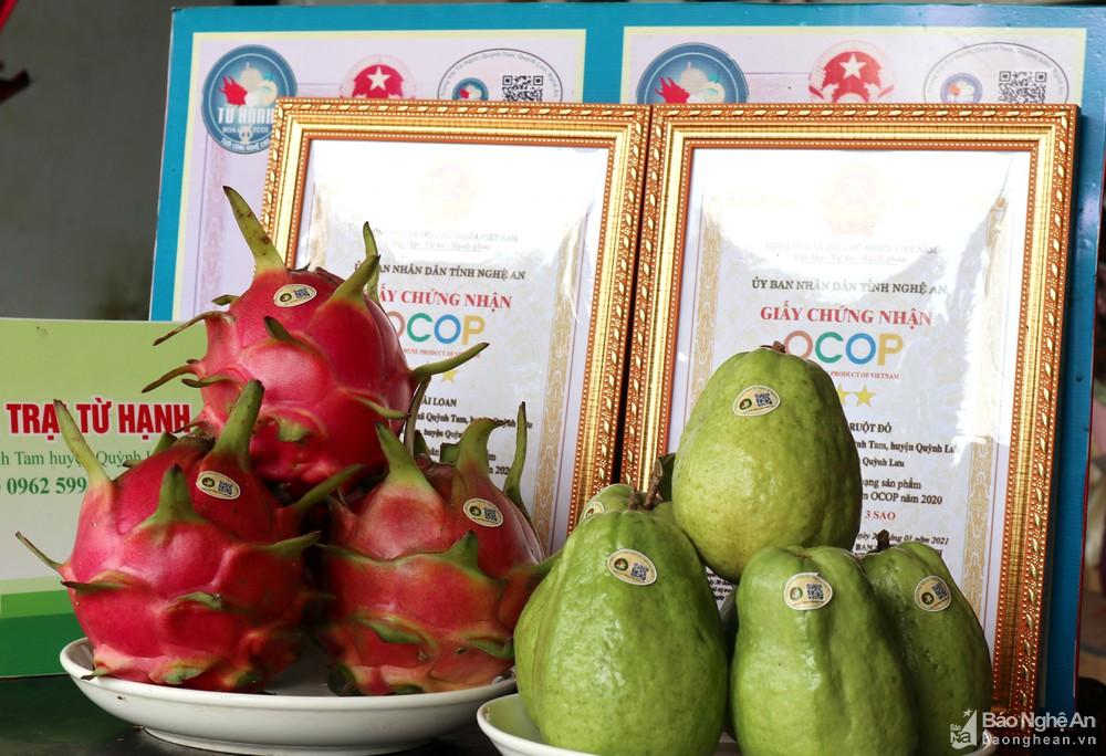 Khám phá trang trại cây ăn quả hữu cơ bậc nhất Nghệ An