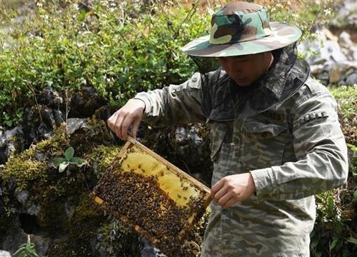 Hieu qua tu nhung mo hinh khuyen nong o Ha Giang hinh anh 1