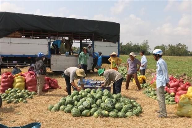 Nong san Viet khi nao het “phap phong” dau ra? hinh anh 1