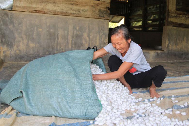 Việc áp dụng khoa học kỹ thuật đã giúp người nuôi tằm “khỏe” hơn nhiều so với trước đây