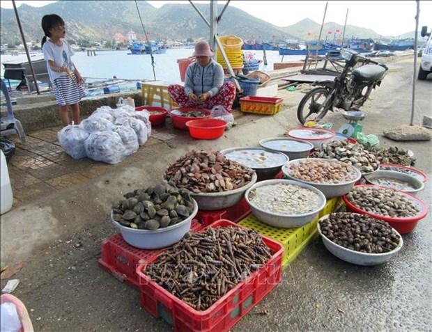 Ninh Thuan nang cao hieu qua kinh te tu nghe nuoi bien hinh anh 4