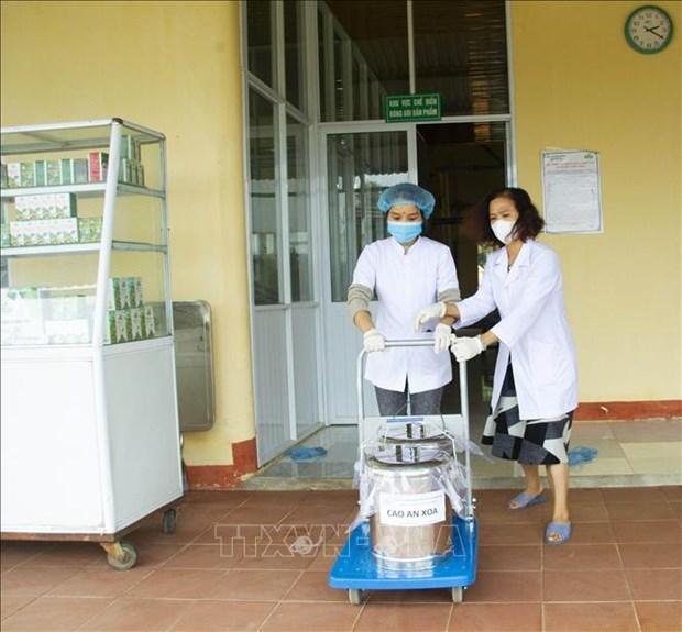 Quang Tri phat trien cay duoc lieu tiem nang hinh anh 4