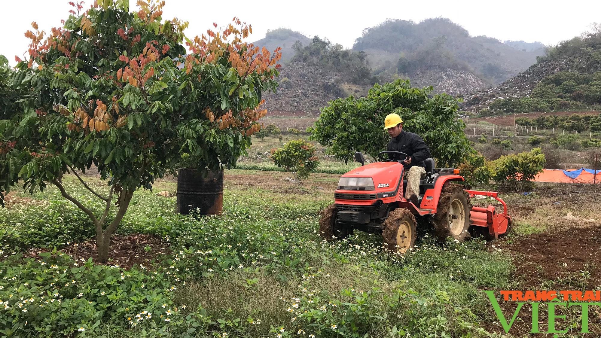 Sơn La: Mùa đơm hoa kết trai - Ảnh 5.