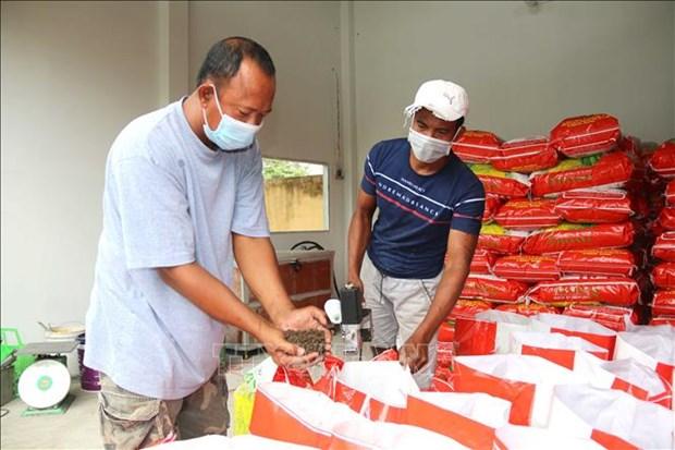 Tra Vinh khuyen khich nong dan su dung phan huu co de giam chi phi san xuat hinh anh 1