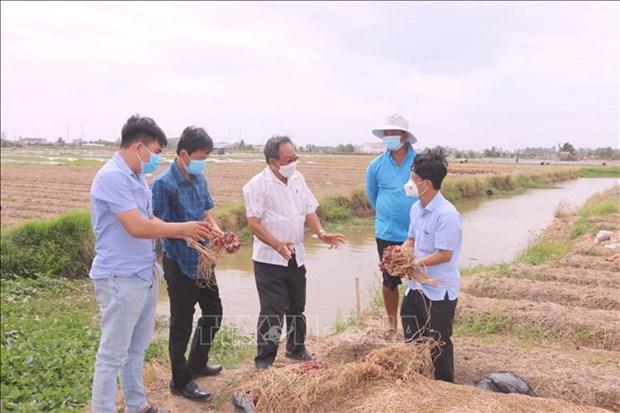 Lien ket tieu thu hanh tim Vinh Chau hinh anh 4
