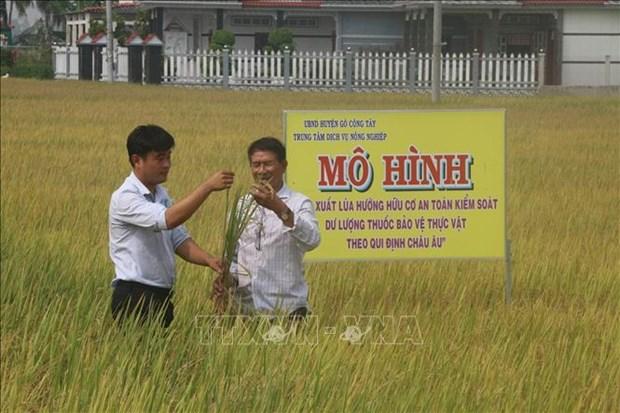 Tien Giang trong lua huu co theo quy dinh chau Au hinh anh 1