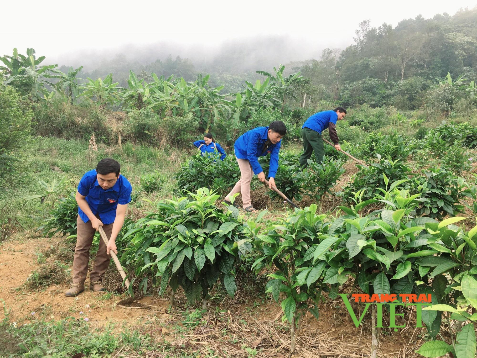 Lai Châu: Những dấu chân tình nguyện của tuổi trẻ - Ảnh 1.