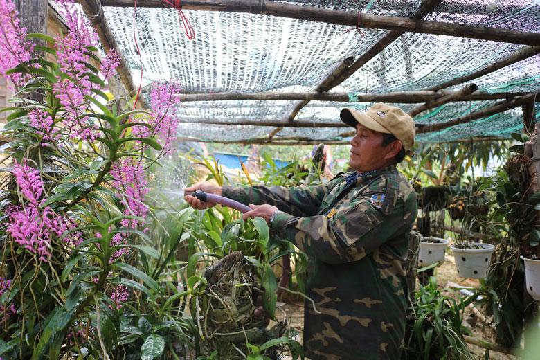 Phát huy tinh thần tiên phong, gương mẫu, đảng viên Rơ Ông Ha Jang luôn là người đi đầu trong phát triển kinh tế của địa phương.