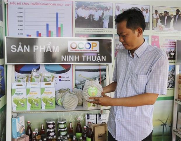 Chuong trinh Moi xa mot san pham: Ninh Thuan quang ba, ket noi tieu thu san pham hinh anh 1