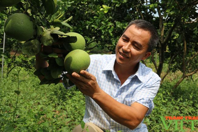 Hội Nông dân Hoà Bình: Tạo chỗ dựa vững chắc cho hội viên làm giàu - Ảnh 6.