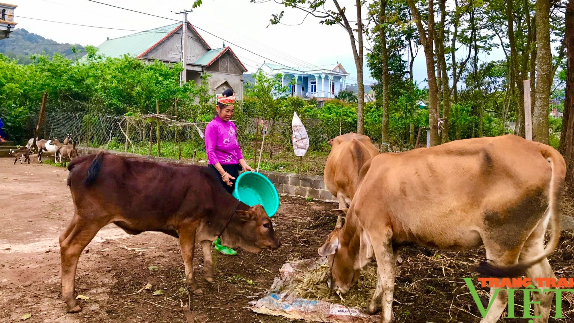 Nông thôn Tây Bắc: Phát triển chăn nuôi hướng tới sinh kế bền vững ở vùng cao - Ảnh 3.