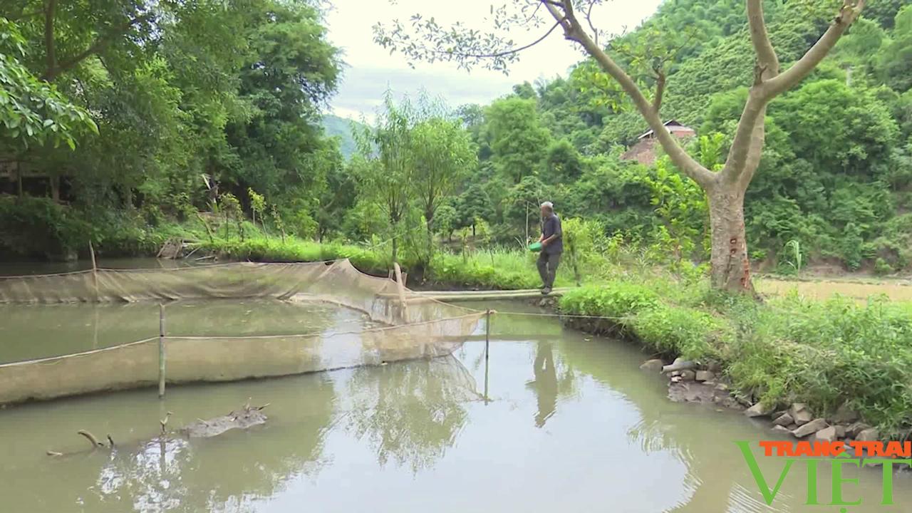 Nông thôn Tây Bắc: Khai thác lợi thế nuôi trồng thuỷ sản sạch - Ảnh 2.