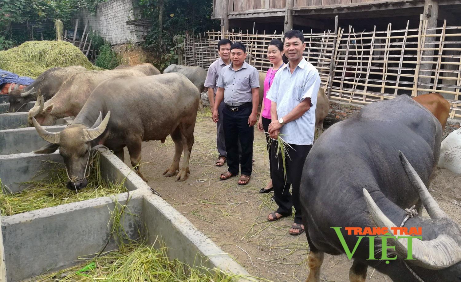 Phong trào thi đua sản xuất kinh doanh giỏi ở Mường Cang - Ảnh 1.