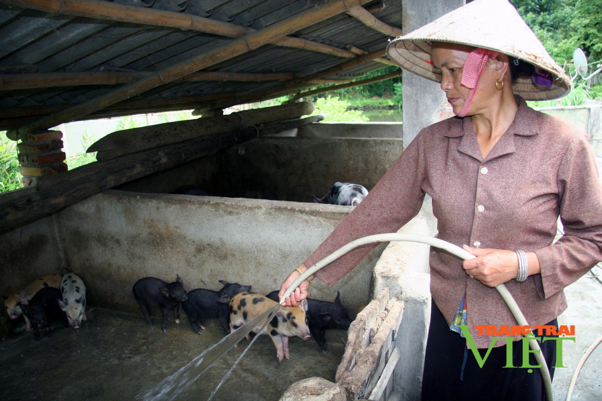 Phong trào thi đua sản xuất kinh doanh giỏi ở Mường Cang - Ảnh 4.