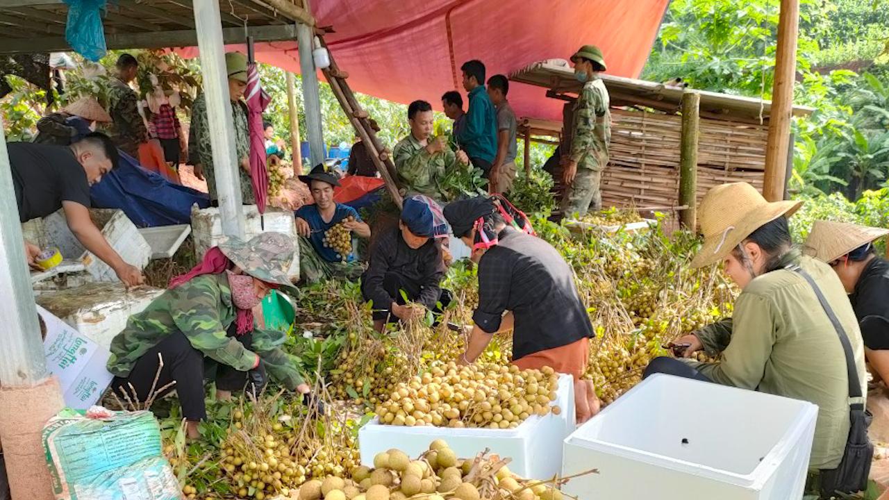 Hội Nông dân Yên Châu: Đòn bẩy giúp hội viên nông dân phát triển kinh tế - Ảnh 4.