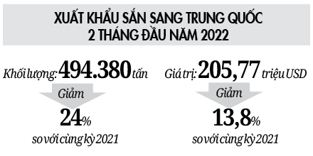 Nhà nông ngóng chờ giống sắn sạch bệnh - Ảnh 3.