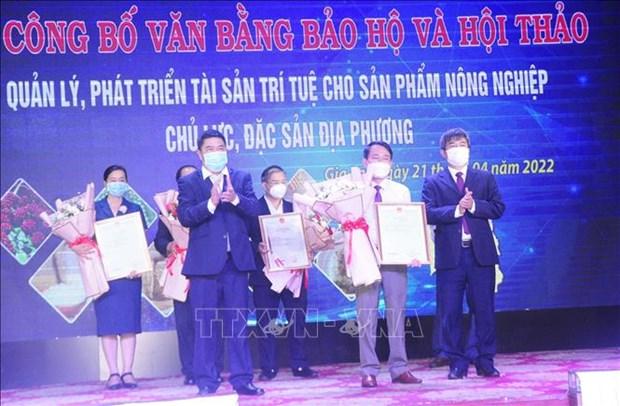 Trao van bang bao ho san pham nong nghiep chu luc, dac san tieu bieu cua Gia Lai hinh anh 1