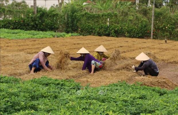 Ha Noi khuyen khich phat trien mo hinh nong nghiep tuan hoan hinh anh 1