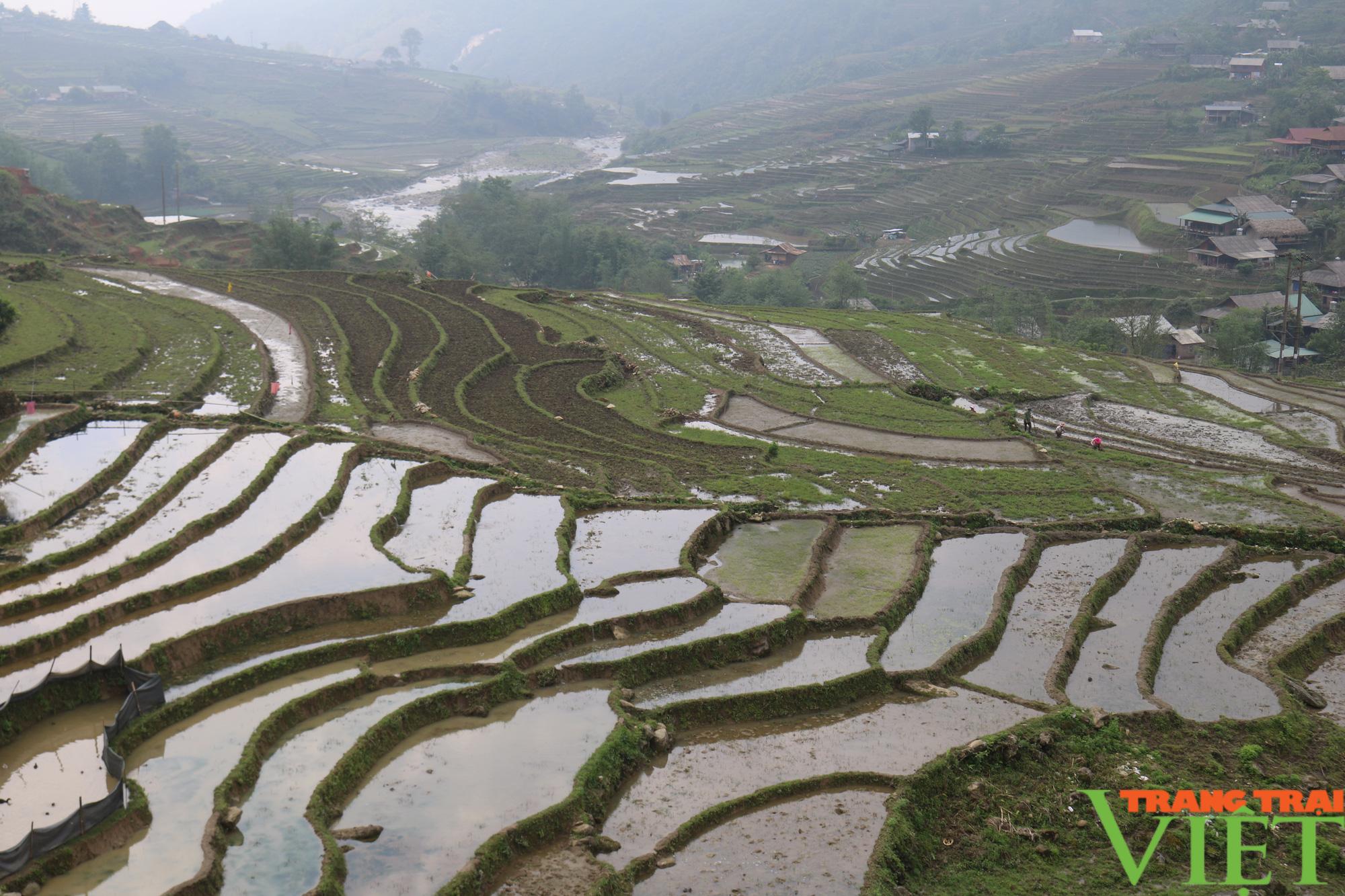 Nông dân Sa Pa chuẩn bị gieo cấy lúa mùa - Ảnh 6.