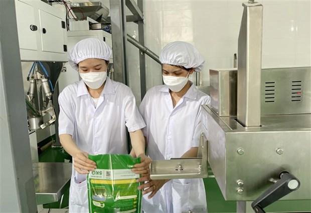 San xuat lua huu co - Huong di ben vung o Quang Tri hinh anh 5