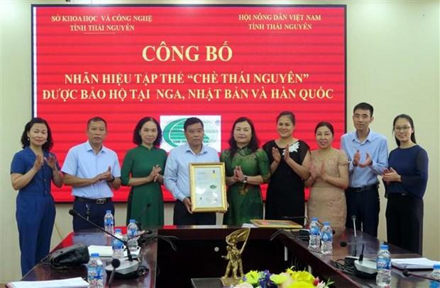 Thuong hieu che Thai Nguyen vuon ra the gioi hinh anh 1