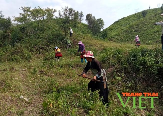 Tân Uyên: Sẵn sàng cho vụ trồng rừng mới   - Ảnh 1.