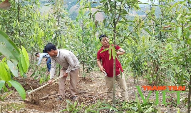 Mường Tè: Đồng lòng giúp đồng bào La Hủ xoá đói, giảm nghèo   - Ảnh 5.