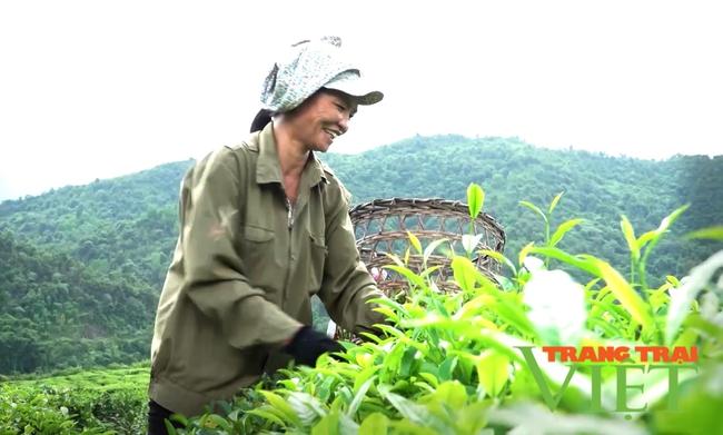 Lai Châu: Chia sẻ kinh nghiệm triển khai mô hình ứng phó với biến đổi khí   - Ảnh 2.