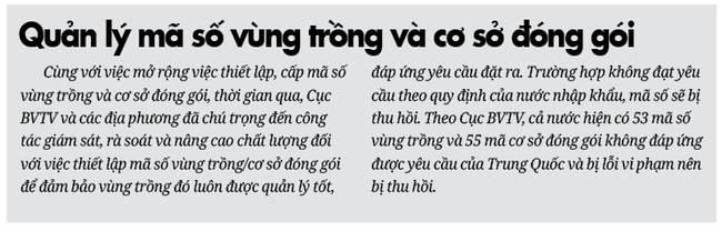 gop/ 300.000ha cây trái được cấp mã số vùng trồng: Rộng cửa xuất ngoại 14 loại quả tươi - Ảnh 3.