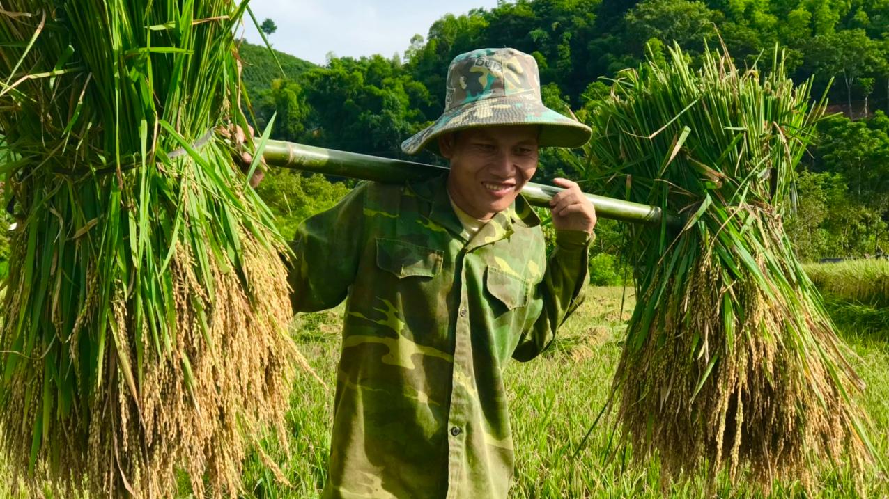 Thêm một vụ lúa chiêm Xuân thắng lợi trên đất Mai Sơn - Ảnh 5.