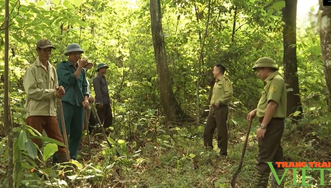 Lai Châu: Dịch vụ môi trường rừng - Dân có thu nhập, rừng càng thêm xanh - Ảnh 1.