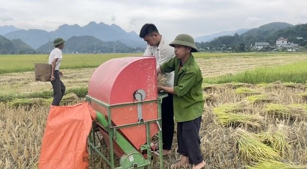 Lai Chau day manh co gioi hoa de phat trien nong nghiep hang hoa hinh anh 1